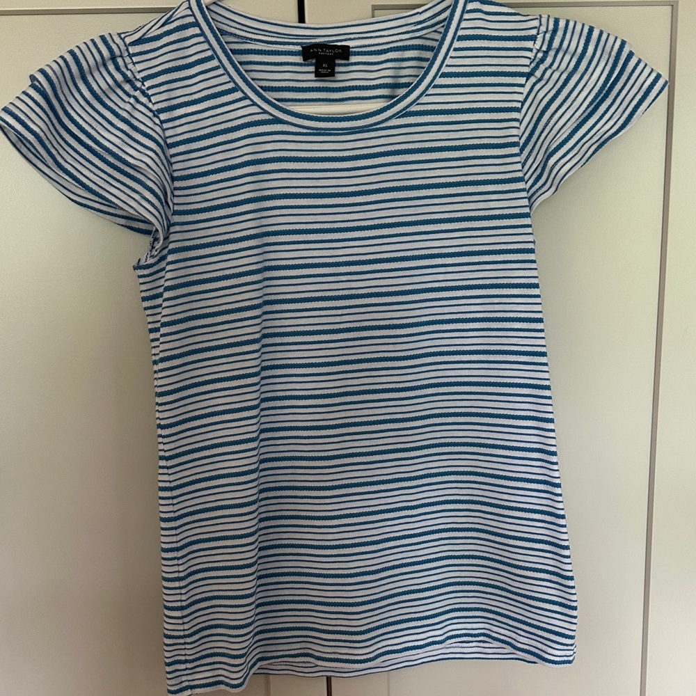 Ann Taylor Factory Blue and White Striped Top